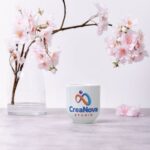 creative portfolio agency project by Creanova Studio