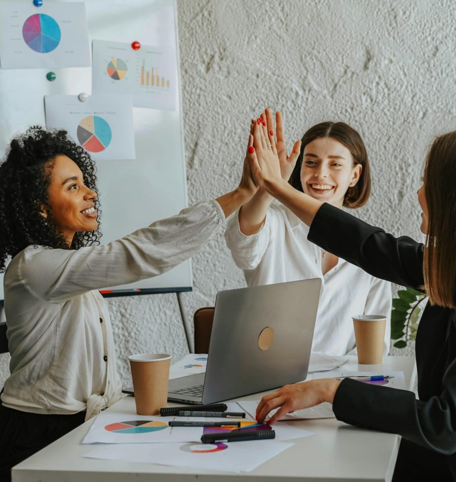 Web design for organizations